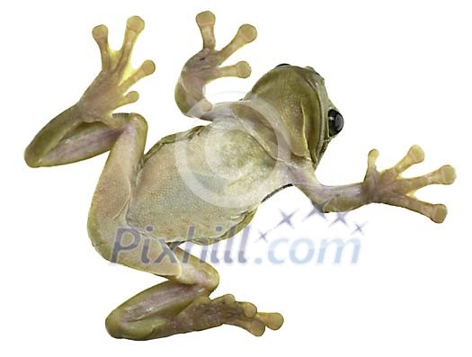 Download Conceptual Stock Images Download Conceptual Stock Images