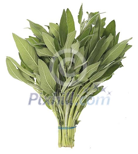 Food Stock Photo Subscription Food Stock Photo Subscription