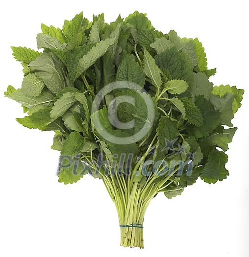 Food Stock Photo Subscription Food Stock Photo Subscription