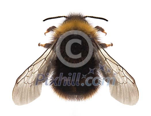 Download Clipped Stock Photos Download Clipped Stock Photos