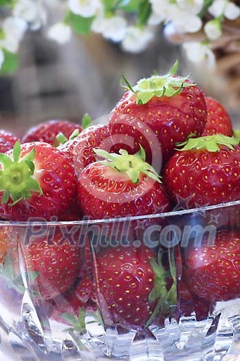Food Stock Photo Subscription Food Stock Photo Subscription