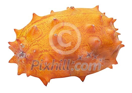 Food Stock Photo Subscription