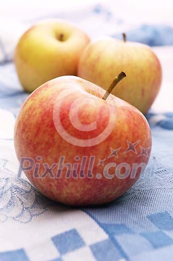 Food Stock Photo Subscription Food Stock Photo Subscription
