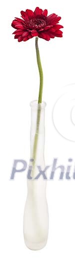Clipped Flower Stock Images Clipped Flower Stock Images