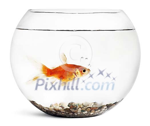 Download Clipped Stock Photos Download Clipped Stock Photos