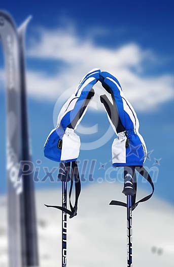 Online Leisure Stock Subscription Online Leisure Stock Subscription