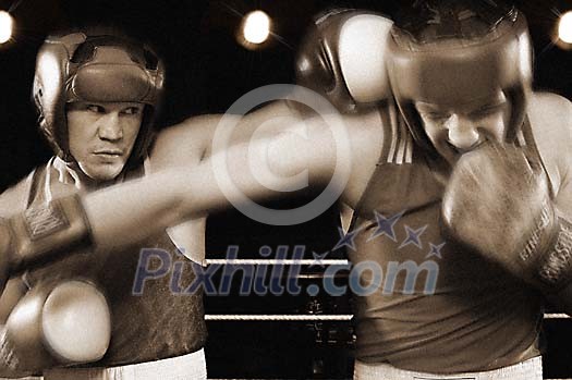 Online Leisure Stock Subscription Online Leisure Stock Subscription