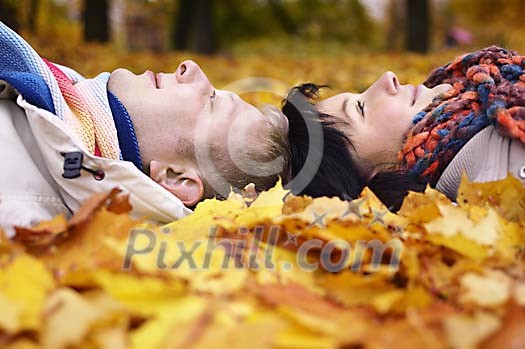 Online Leisure Stock Subscription Online Leisure Stock Subscription