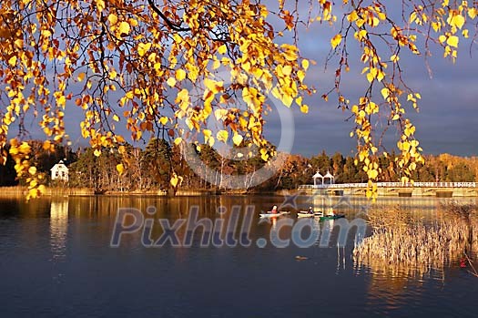 Online Leisure Stock Subscription Online Leisure Stock Subscription