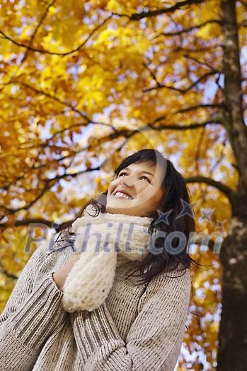 Online Leisure Stock Subscription Online Leisure Stock Subscription
