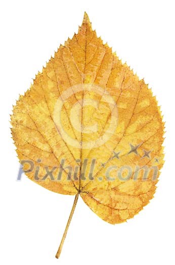 Download Clipped Stock Photos Download Clipped Stock Photos