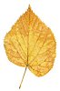 Download Clipped Stock Photos