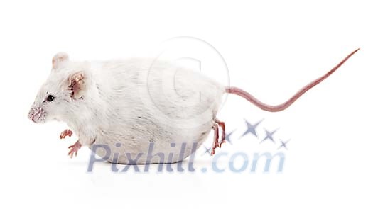 Download Conceptual Stock Images Download Conceptual Stock Images