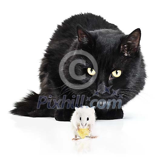 Download Conceptual Stock Images Download Conceptual Stock Images