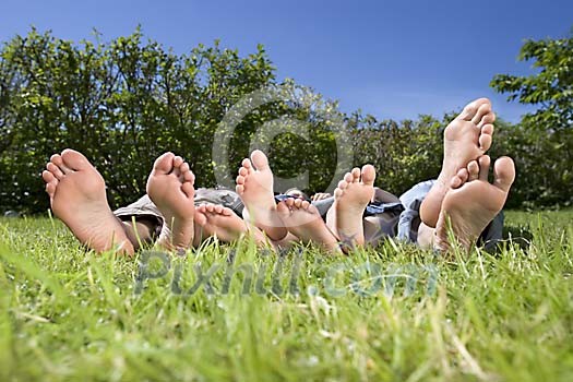 Online Leisure Stock Subscription Online Leisure Stock Subscription