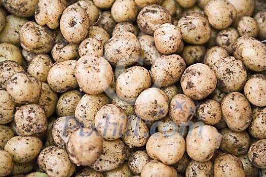 Background Stock Photos Subscription Background Stock Photos Subscription