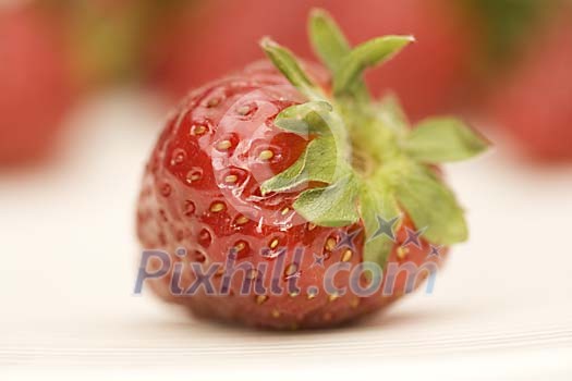 Food Stock Photo Subscription Food Stock Photo Subscription