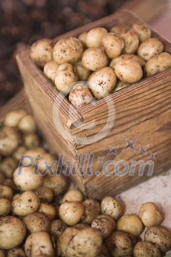 Food Stock Photo Subscription