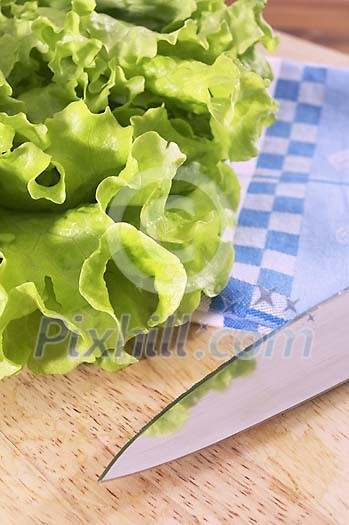 Food Stock Photo Subscription Food Stock Photo Subscription