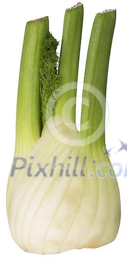 Food Stock Images with clipping path Food Stock Images with clipping path