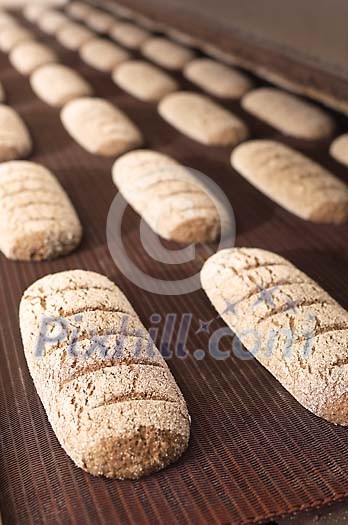 Business & Work Stock Photo Subscription Business & Work Stock Photo Subscription