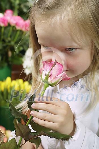People Stock Images Subscription People Stock Images Subscription