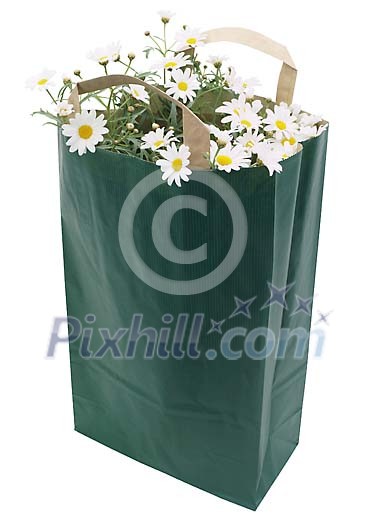 Clipped Flower Stock Images Clipped Flower Stock Images