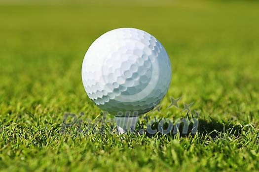 Online Leisure Stock Subscription Online Leisure Stock Subscription