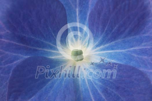 Background Stock Photos Subscription Background Stock Photos Subscription