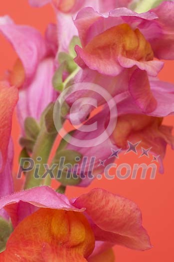 Background Stock Photos Subscription Background Stock Photos Subscription