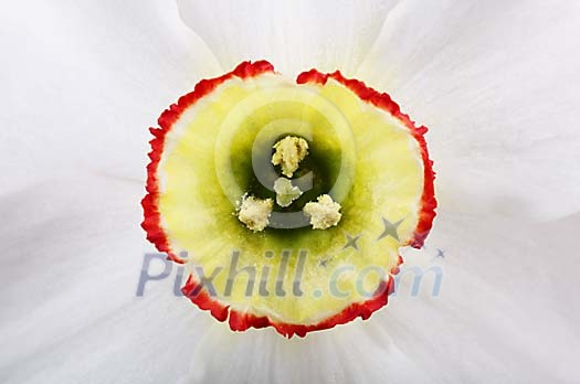 Background Stock Photos Subscription Background Stock Photos Subscription