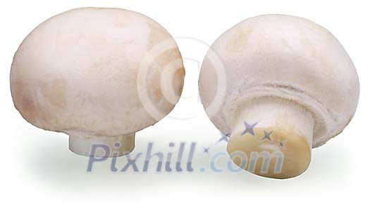 Download Clipped Stock Photos Download Clipped Stock Photos