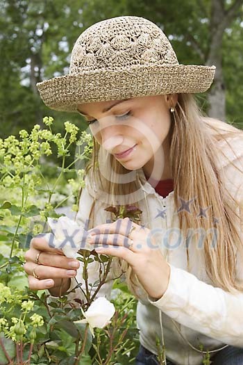 Online Leisure Stock Subscription Online Leisure Stock Subscription