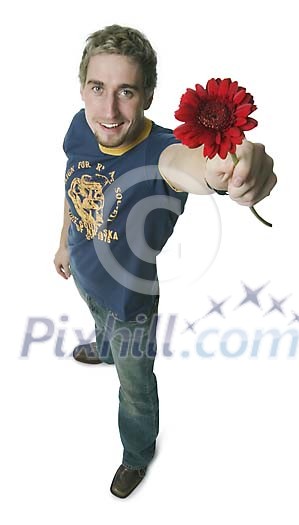 Clipped Flower Stock Images Clipped Flower Stock Images