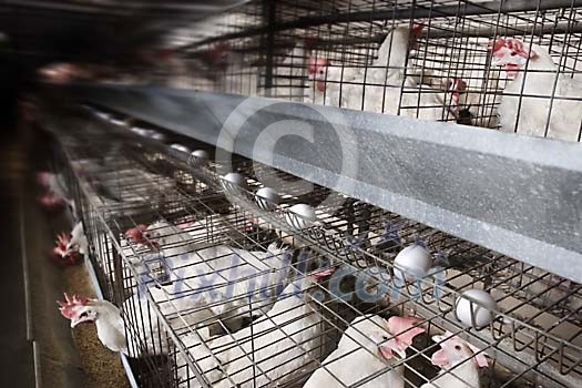 Business & Work Stock Photo Subscription Business & Work Stock Photo Subscription