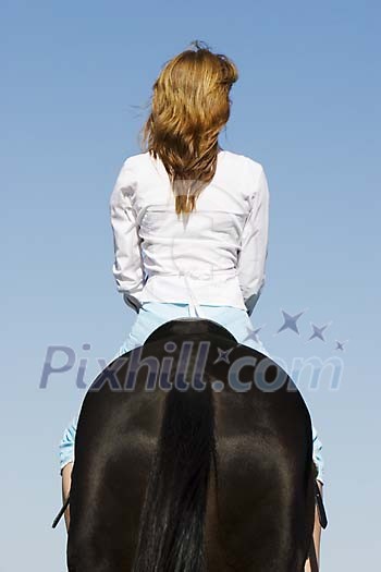 Online Leisure Stock Subscription Online Leisure Stock Subscription
