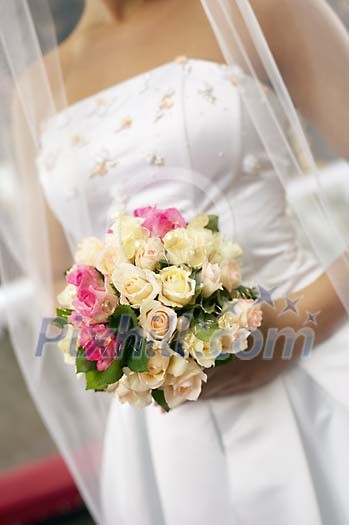 People Stock Images Subscription People Stock Images Subscription