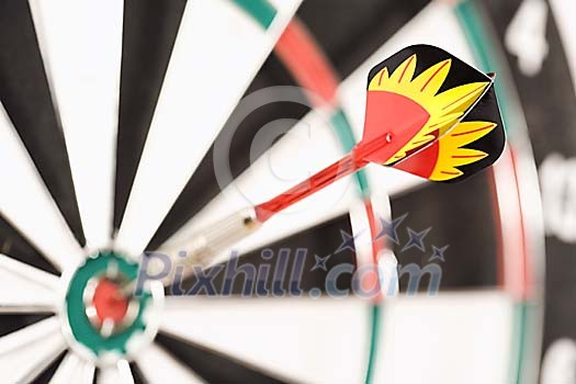 Dart on the bullseye Dart on the bullseye