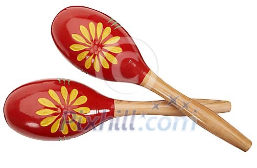 Close up of the maracas Close up of the maracas