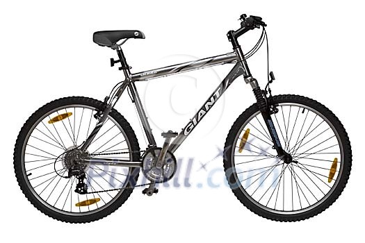 Bicycle Bicycle
