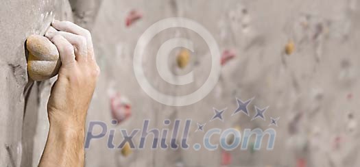 Online Leisure Stock Subscription Online Leisure Stock Subscription