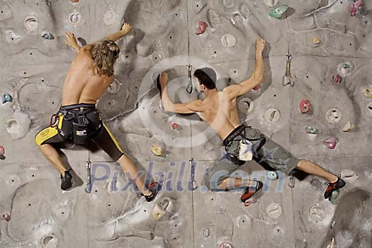 Online Leisure Stock Subscription Online Leisure Stock Subscription