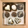Box of chocolate candy