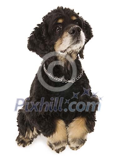 Download Clipped Stock Photos Download Clipped Stock Photos