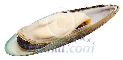 Food Stock Images with clipping path Food Stock Images with clipping path