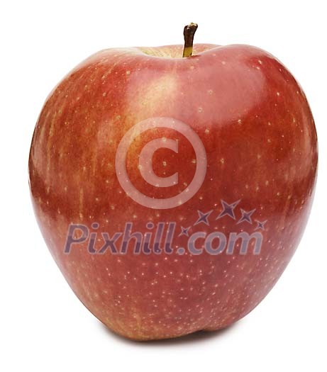 Food Stock Images with clipping path Food Stock Images with clipping path
