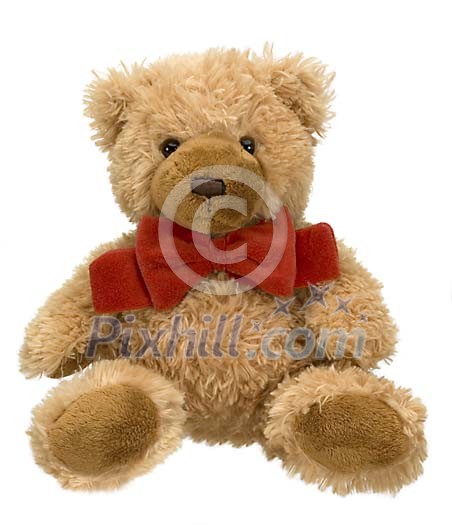 Isolated teddy bear Isolated teddy bear