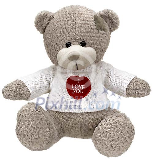 Isolated grey teddy bear Isolated grey teddy bear