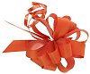 Isolated red ribbon