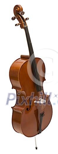 Isolated cello Isolated cello
